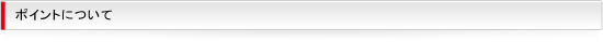 ポイントについて
